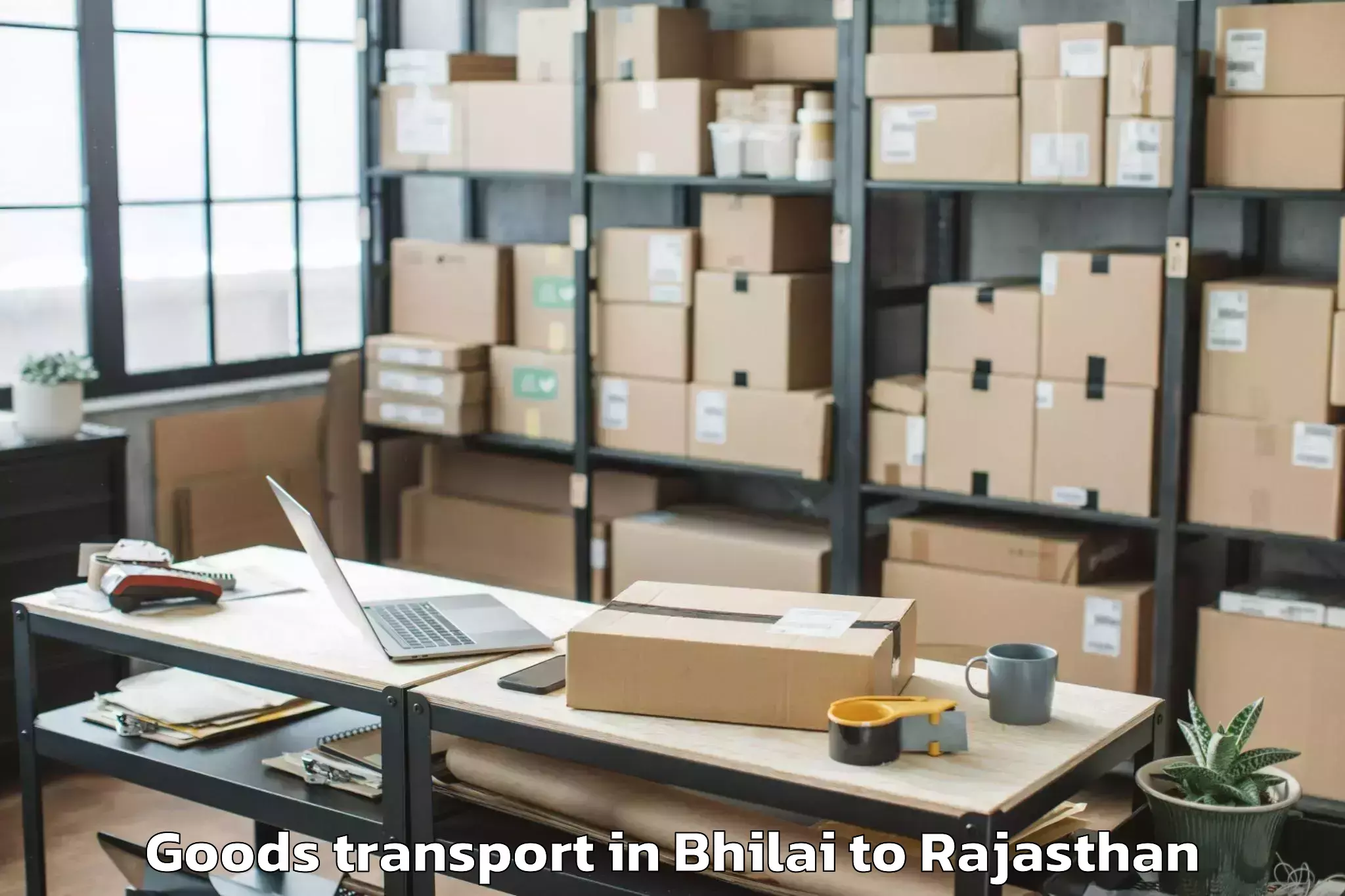 Hassle-Free Bhilai to Gulabpura Goods Transport